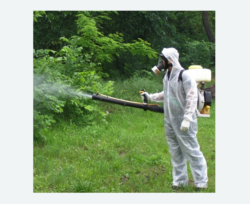 обработка дачи от клещей обработка территории от клещей в Тайцах