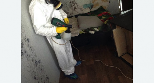 Обработка квартир от насекомых в Тайцах