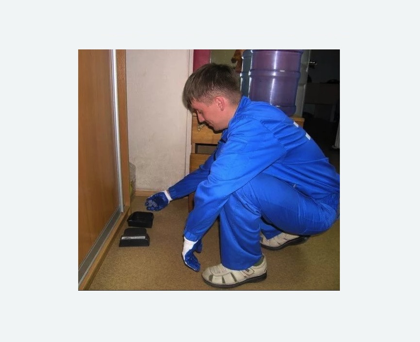 Дератизация крыс в Тайцах