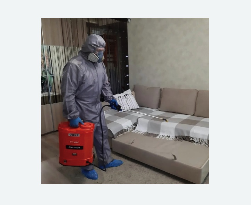 Обработка квартиры от блох в Тайцах Обработка квартиры от блох