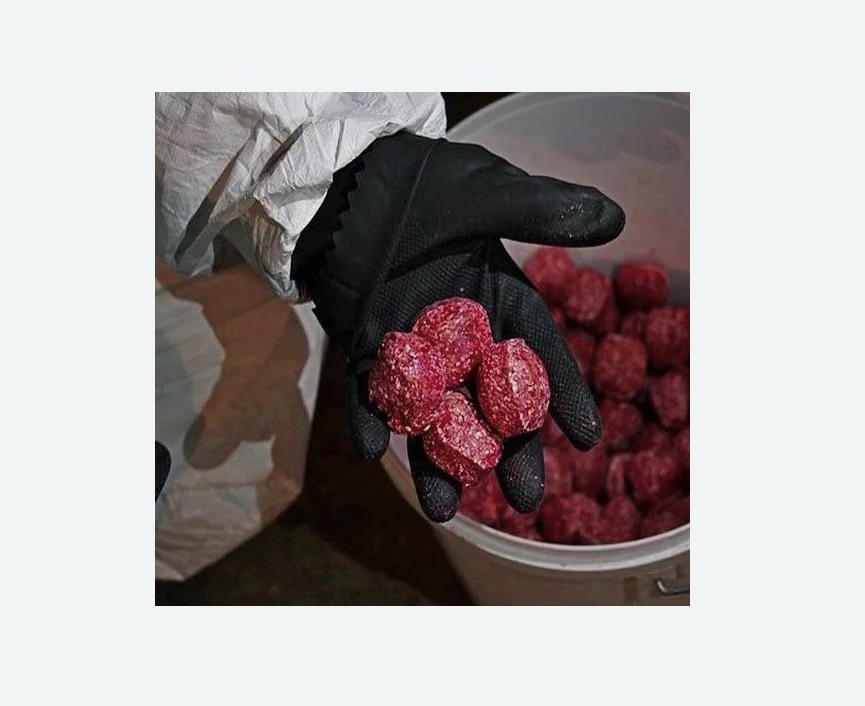 Обработка от крыс в Тайцах