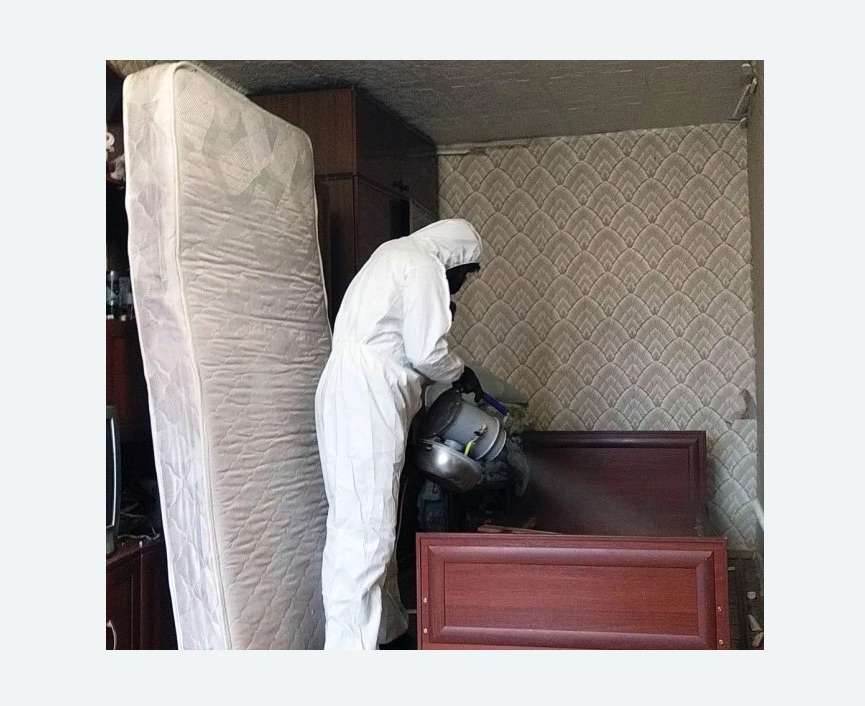 дезинфекция от клопов в Тайцах