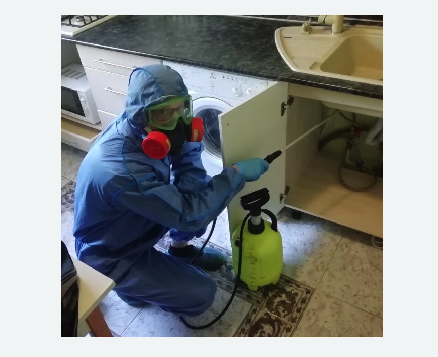 обработка от муравьев в квартире обработка от муравьев в квартире в Тайцах