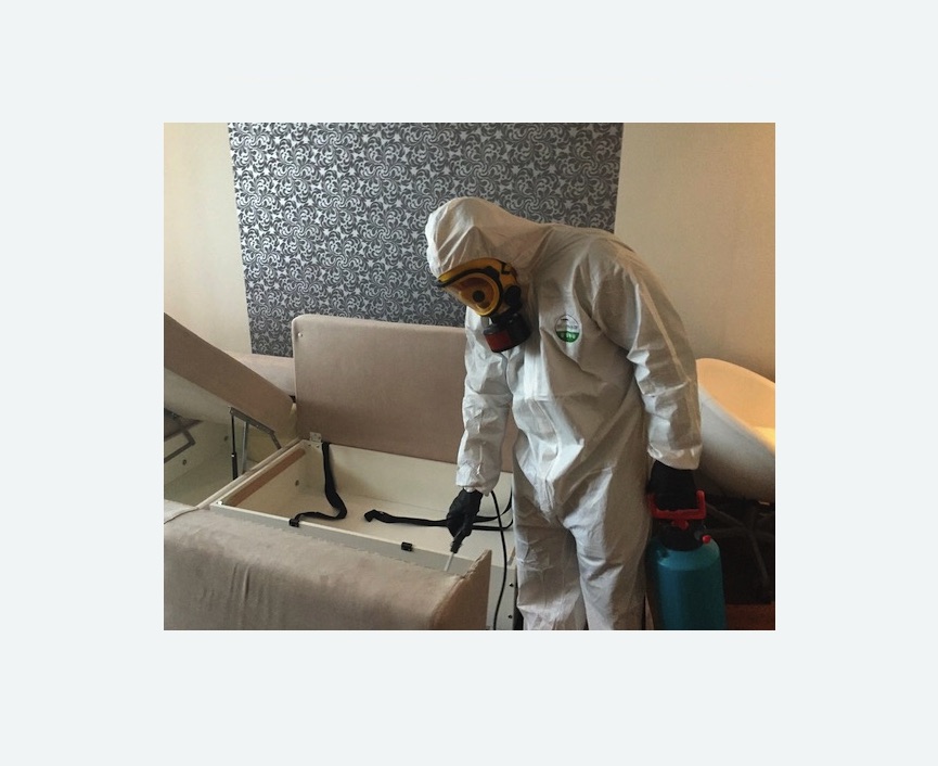 уничтожение клопов в квартире в Тайцах