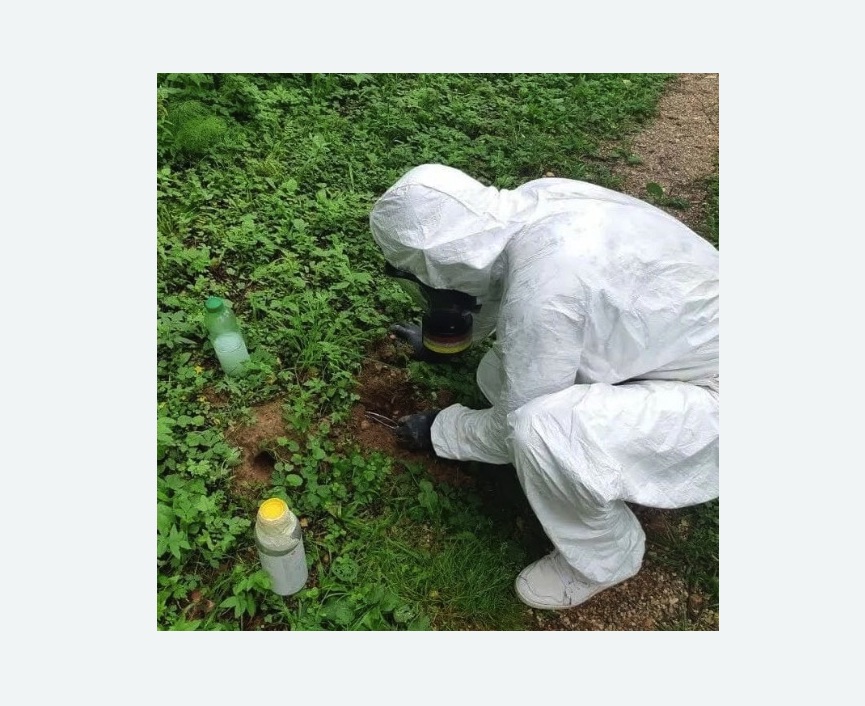 уничтожение кротов на участке в Тайцах