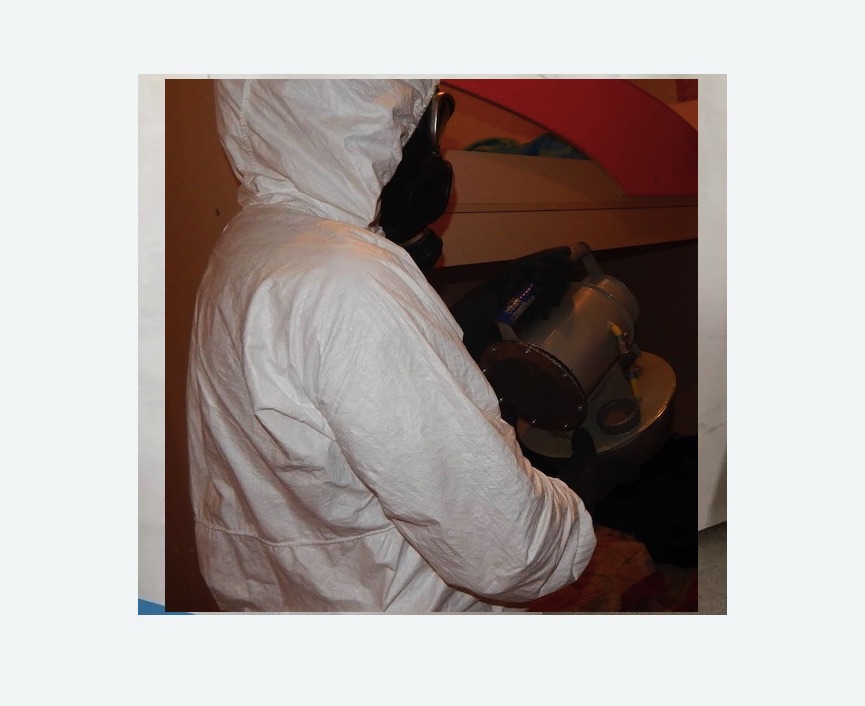 Дезинфекция от муравьев Дезинфекция от муравьев в Тайцах